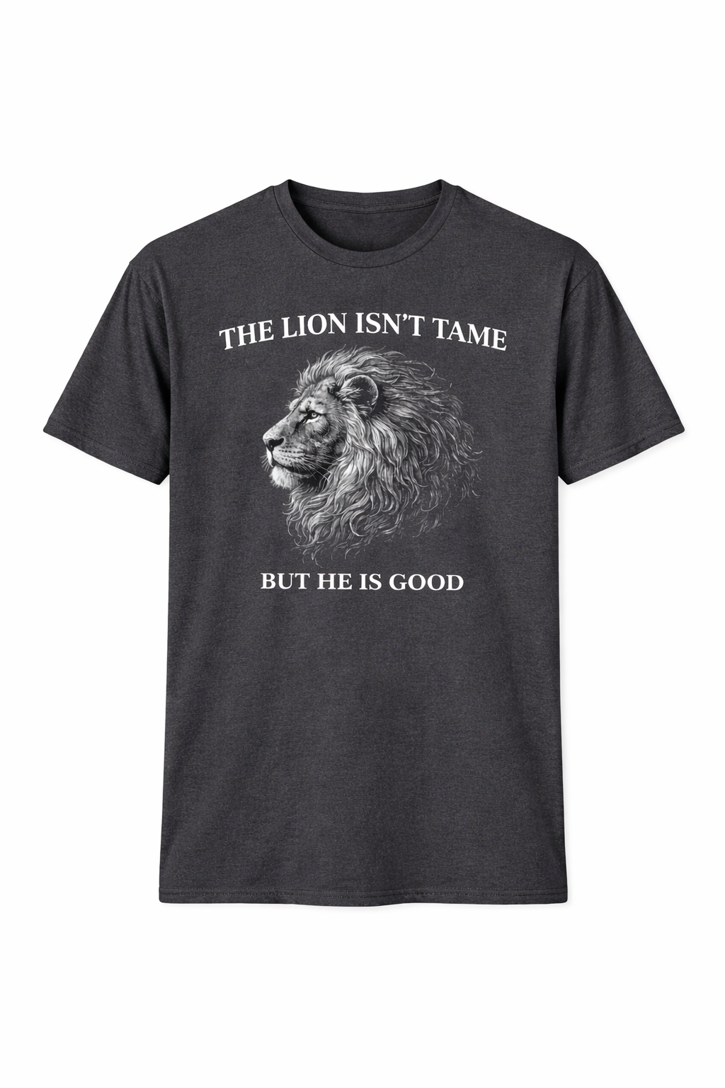 The Lion Isn't Tame